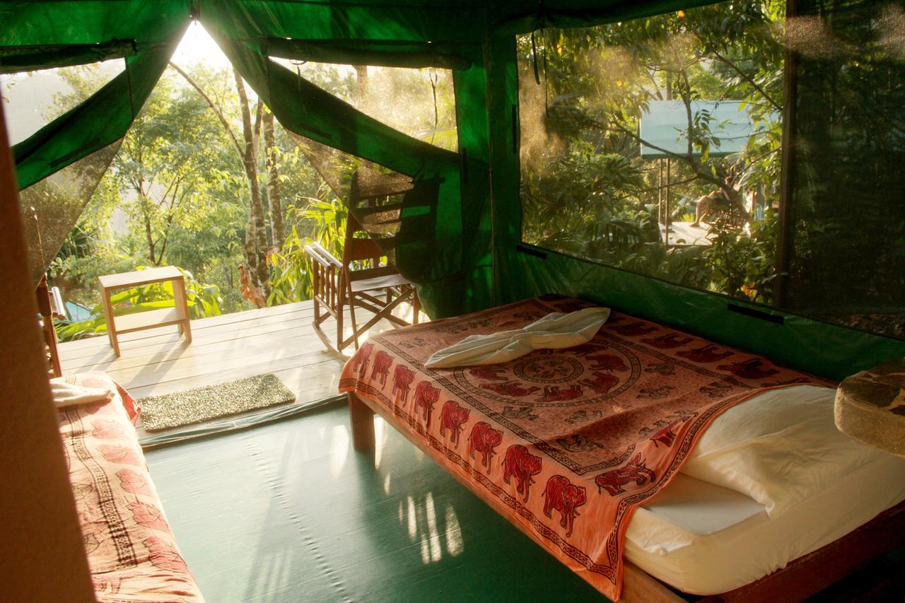 Luna Lodge Carate Cameră foto