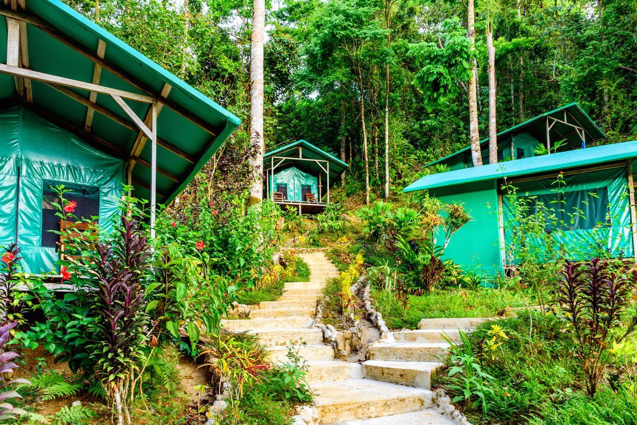 Luna Lodge Carate Cameră foto